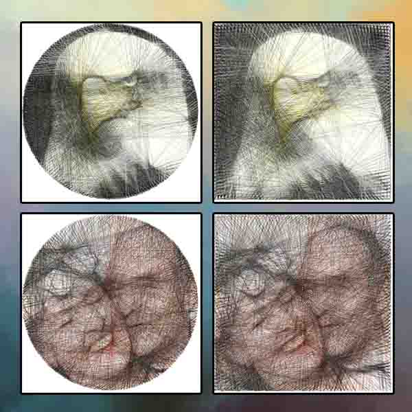 网站开发,移动开发,技术服务,域名,云服务,一站式IT解决方案,通之影科技