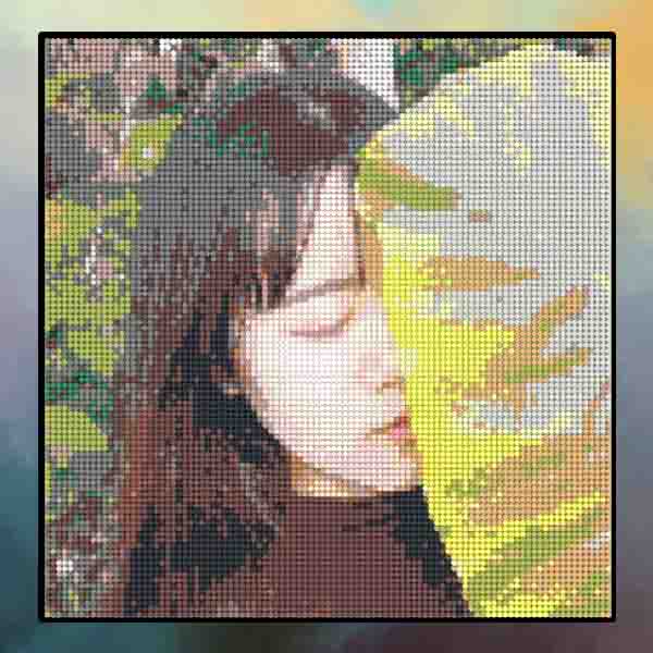 网站开发,移动开发,技术服务,域名,云服务,一站式IT解决方案,通之影科技